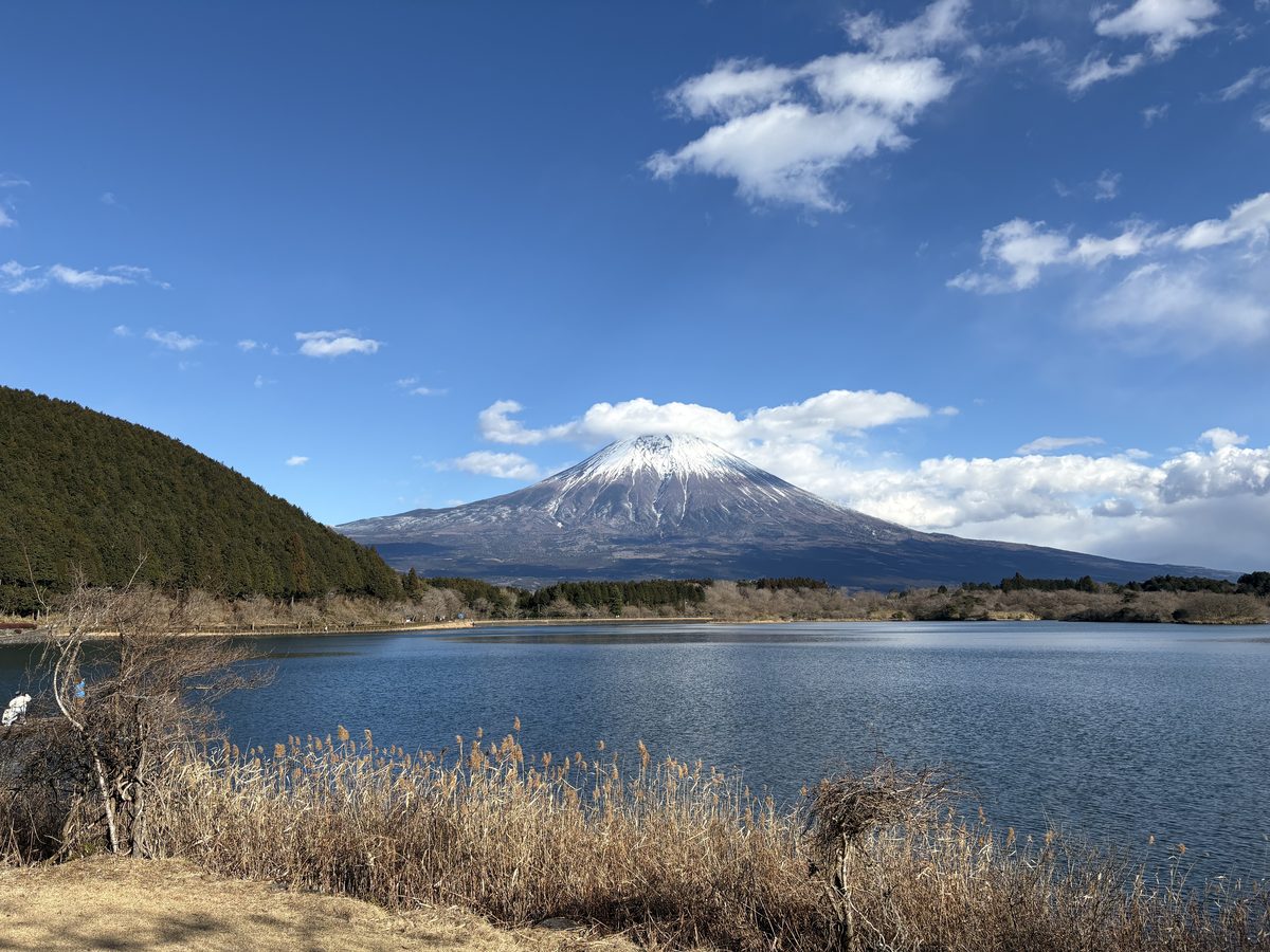 Lakeside Viewing Spot